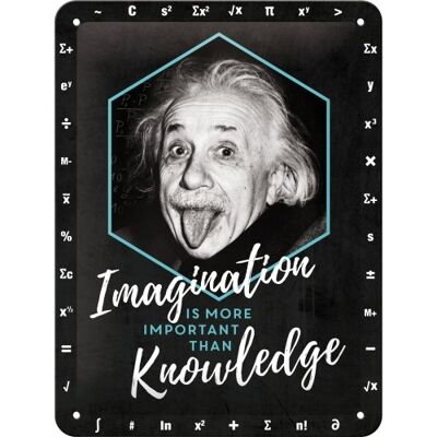 Metallplatte 15x20 cm. Berühmtheiten Einstein - Vorstellungskraft & Wissen