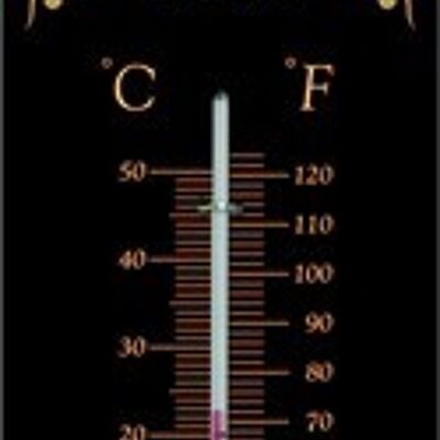 Fieberthermometer 6,5 x 28 cm. Qualitätsfrüchte