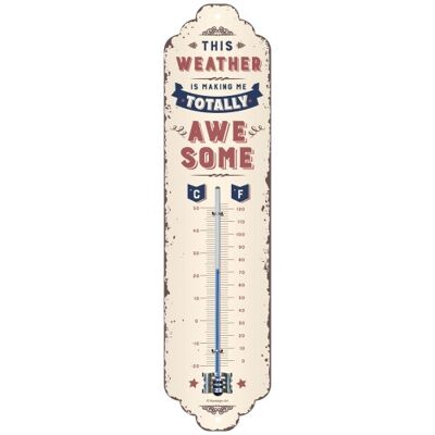 Thermometer 6.5x28 cm. Word Up Awesome Weather