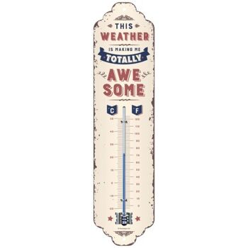 Thermomètre 6,5x28 cm. Word Up Météo géniale