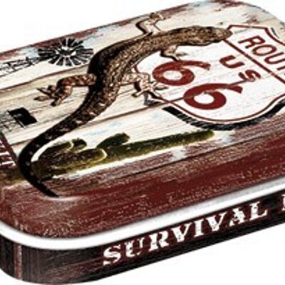 Mints box 6x9.5x2 cm. Route 66 Desert Survival Kit