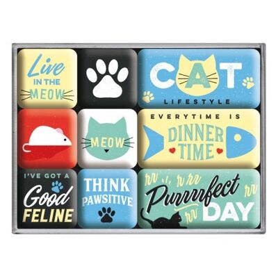 Magnet set (9 pieces) Animal Club Cat Lifestyle