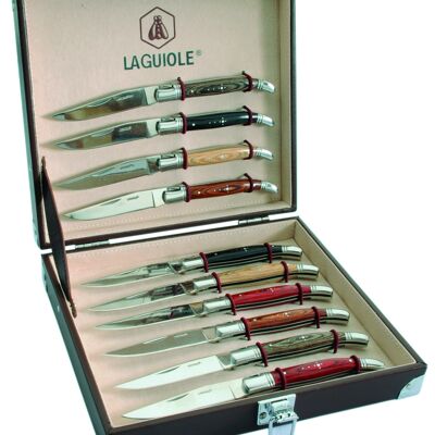 Folding knives case of 10 pieces