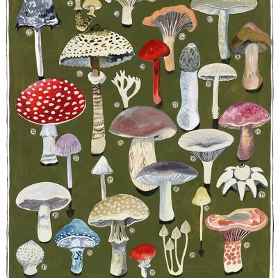 Mushrooms Large Greetings Card