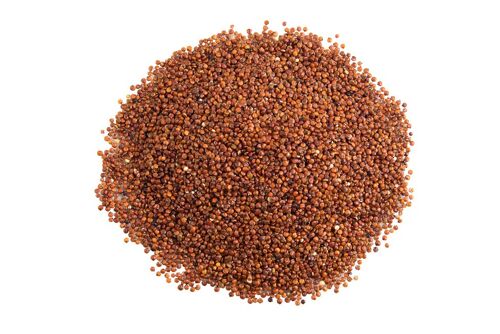 Quinoa Rouge de Montagne - vrac 9.5kg - 6.25€/kg