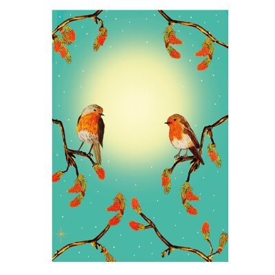 Christmas Robins In The Sun (Pack of 6)