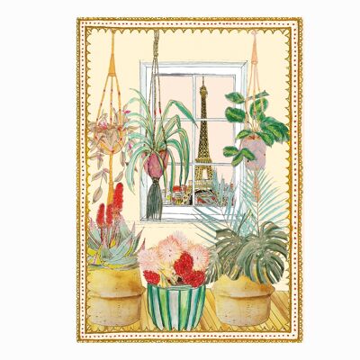 Plants (Pack of 6)