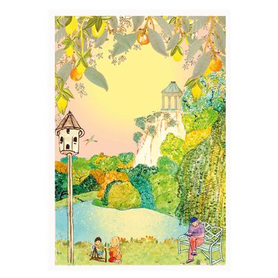 Park Life (Pack of 6)