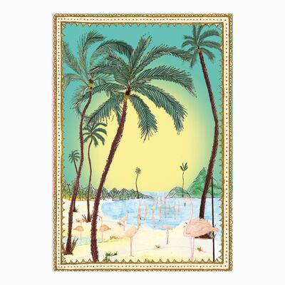 Tropical (Pack of 6)