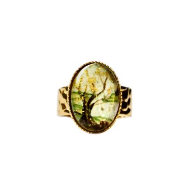 Anello dell'aura