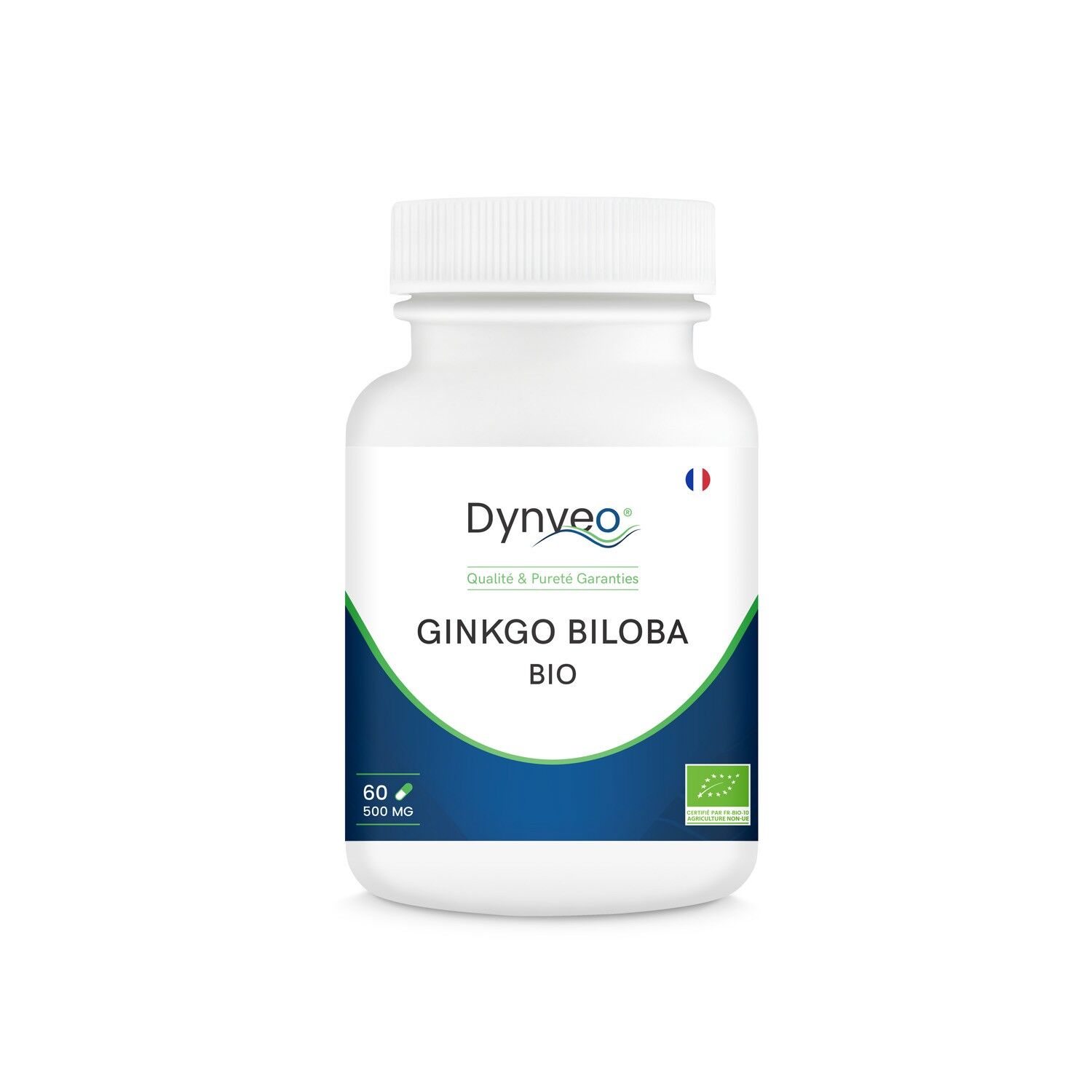 Standardisierter BIO-GINKGO BILOBA - 500 mg / 60 Kapseln