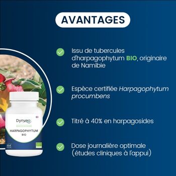 HARPAGOPHYTUM BIO concentré - Harpagosides 40% - 200mg / 60 gélules 3