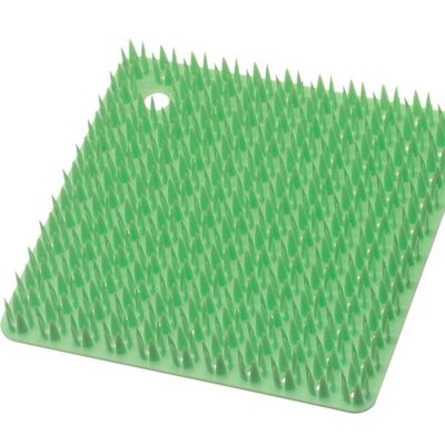 Platawa for Kitchen brush for kitchen - Light Green