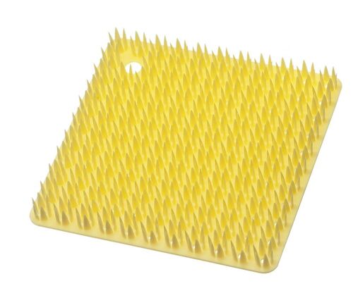 Platawa for Kitchen brush for kitchen - Yellow