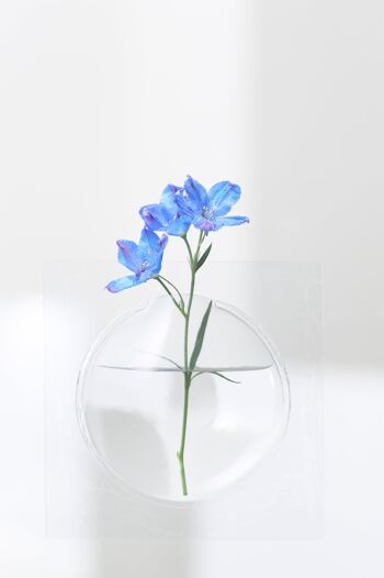 Vase à fleurs Kaki - Transparent 2