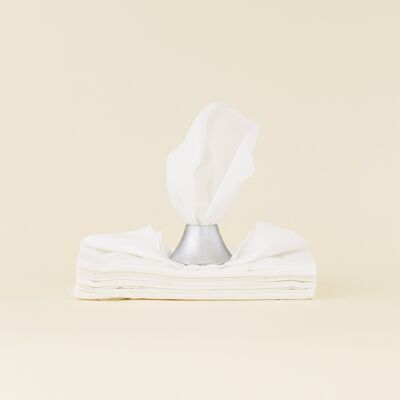 Kazan tissue dispenser