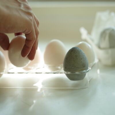 Uovo di essiccazione
