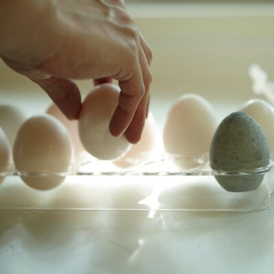 Uovo di essiccazione
