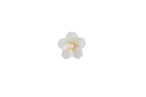 Kaze guruma Sakura cherry blossoms pinwheel Magnet - White