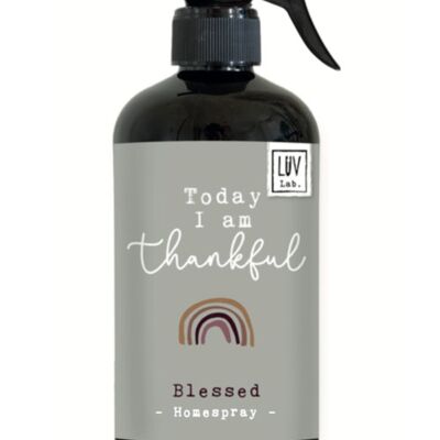 LUV Lab. Luxe Homespray - Blessed