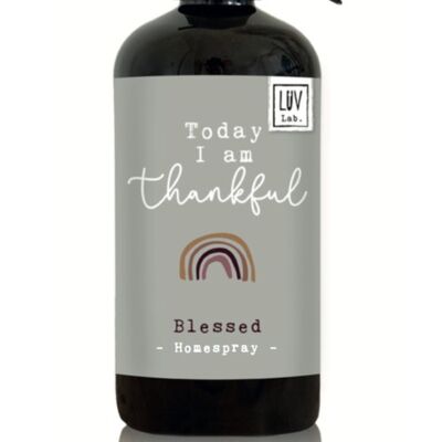 LUV Lab. Luxe Homespray - Blessed