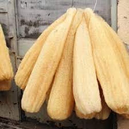 Luffa ENTIER