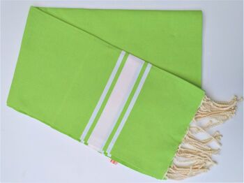 Fouta UBB anis