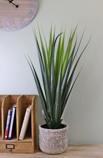Plante artificielle d'Aloe Vera, 80 cm 2