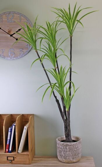 Arbre artificiel Dracaena Marginata, 120cm 2