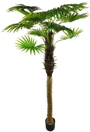 Palmier Éventail Artificiel 190cm 1