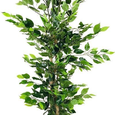 Ficus Artificiale con Tronco Naturale 125cm