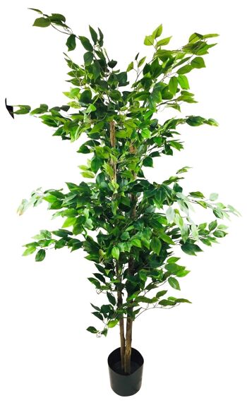 Ficus Artificiel Avec Pot 1.8m 1