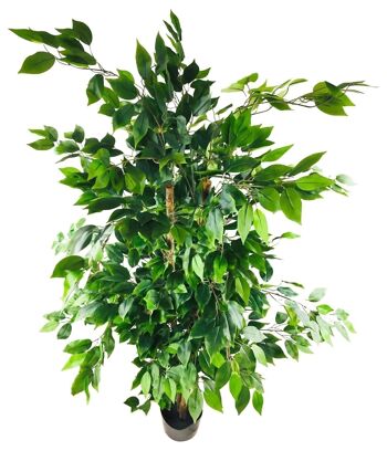 Ficus Artificiel Avec Pot 1.8m 2
