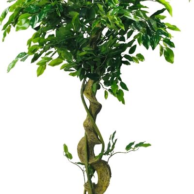 Künstlicher Ficusbaum mit verdrehtem Stamm 137cm