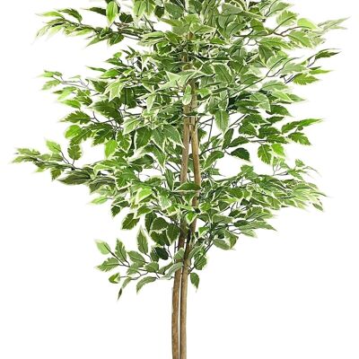 Árbol ficus artificial con hojas jaspeadas 160cm