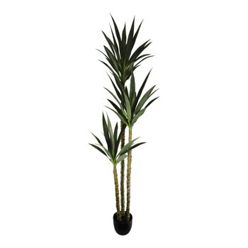 Yucca Artificiel Triple Tronc, 180cm 2