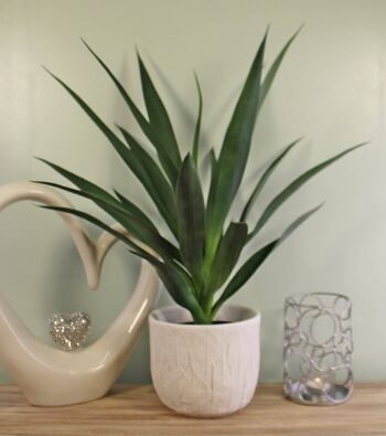 Yucca artificiel, 60 cm 4