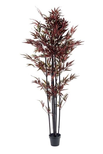 Bambou Rouge & Vert 180cm 1