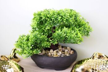 Faux bonsaï oriental dans le style buis