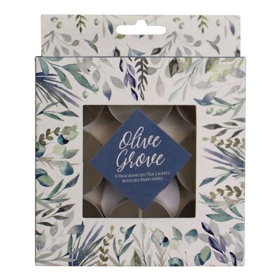 Paquete de 9 velas de té con fragancia Olive Grove en caja de regalo