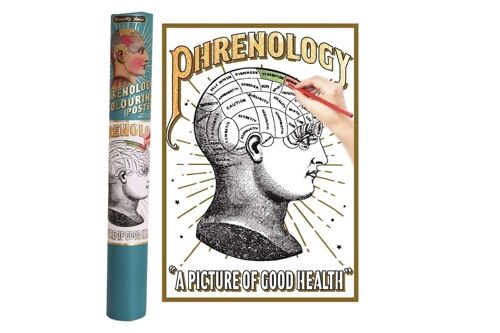 Phrenology Colouring Poster In Gift Tube