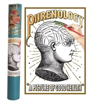 Phrenology Colouring Poster In Gift Tube