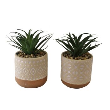 Ensemble de 2 fausses plantes succulentes dans des pots en céramique 1