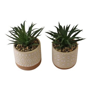 Ensemble de 2 fausses plantes succulentes dans des pots en céramique 2