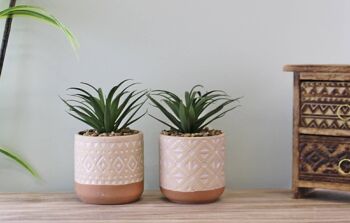 Ensemble de 2 fausses plantes succulentes dans des pots en céramique 3