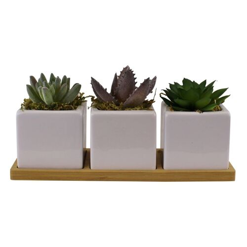Set of 3 Faux Succulents On A Wooden Tray