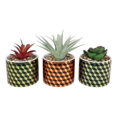 Set di 3 piante grasse in vasi di ceramica dal design cubico