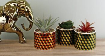 Ensemble de 3 plantes succulentes dans des pots en céramique au design cubique 3