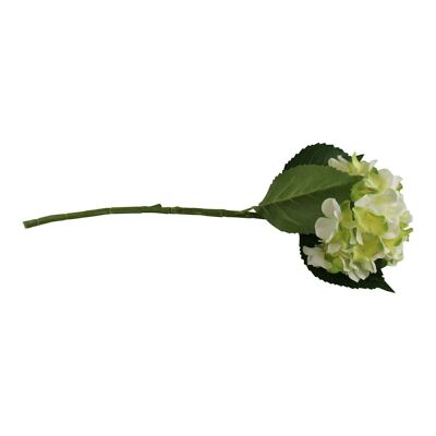 Gerbe d'hortensia simple, crème et fleur verte, 49 cm
