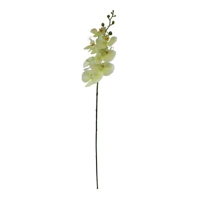 Ramo de orquídea individual, flores color crema, 85 cm